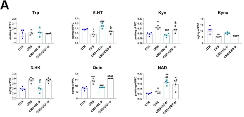 A. Levels of Trp-Kyn metabolic pathway-derived neurotransmitters in the mice prefrontal cortexs A. Levels of Trp-Kyn metabolic pathway-derived neurotransmitters in the mice prefrontal cortexs
